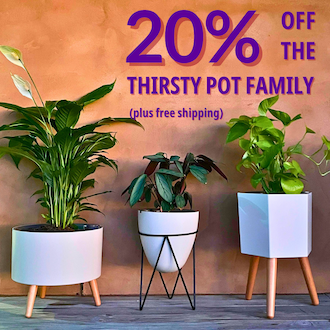 Keep your plants alive w/ your very own Thirsty Pot